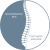 logo_dome